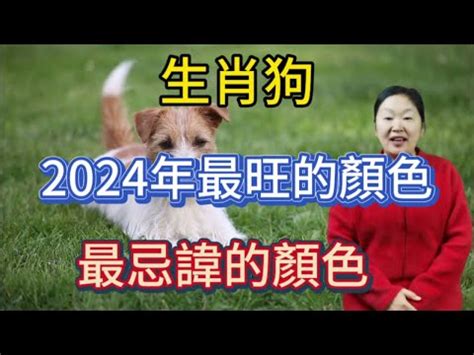 2023 狗 顏色|2023屬狗幸運色和禁忌色 用對顏色旺運整個癸卯年